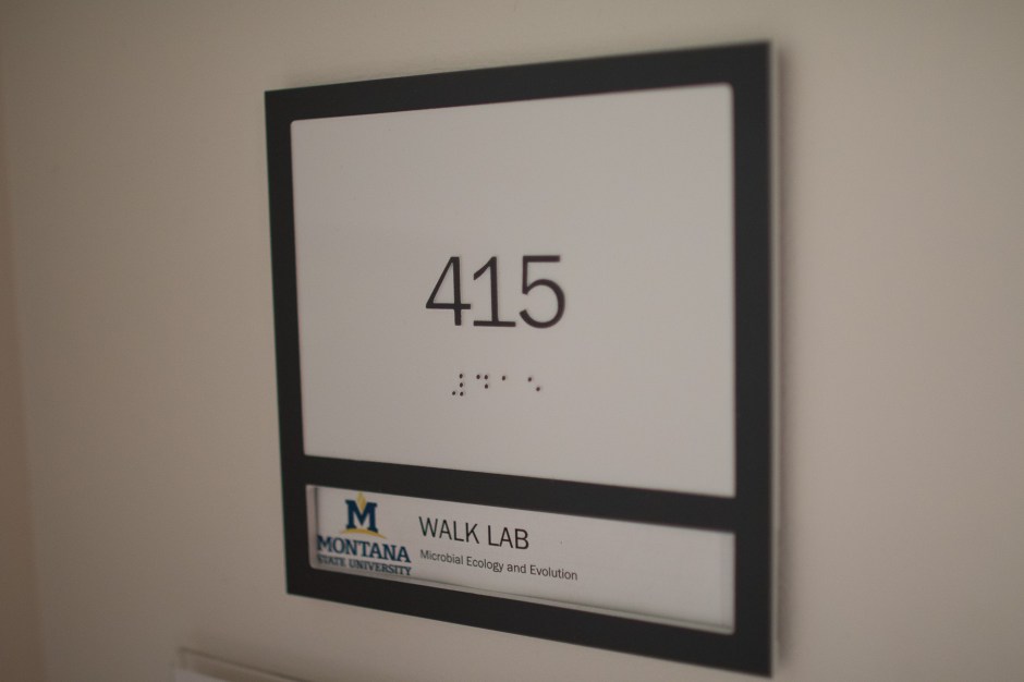 walklab24